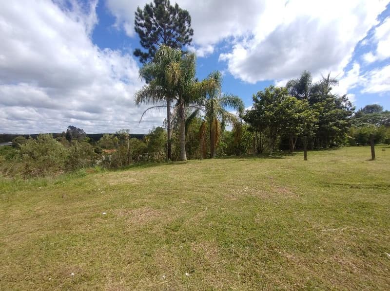 Foto 10 de 11: Area Rural em leilão em Timbó Grande - SC, bairro Interior — IMÓVEL RURAL COM ÁREA TOTAL DE 8,8804 hectares EM TIMBÓ GRANDE-SC