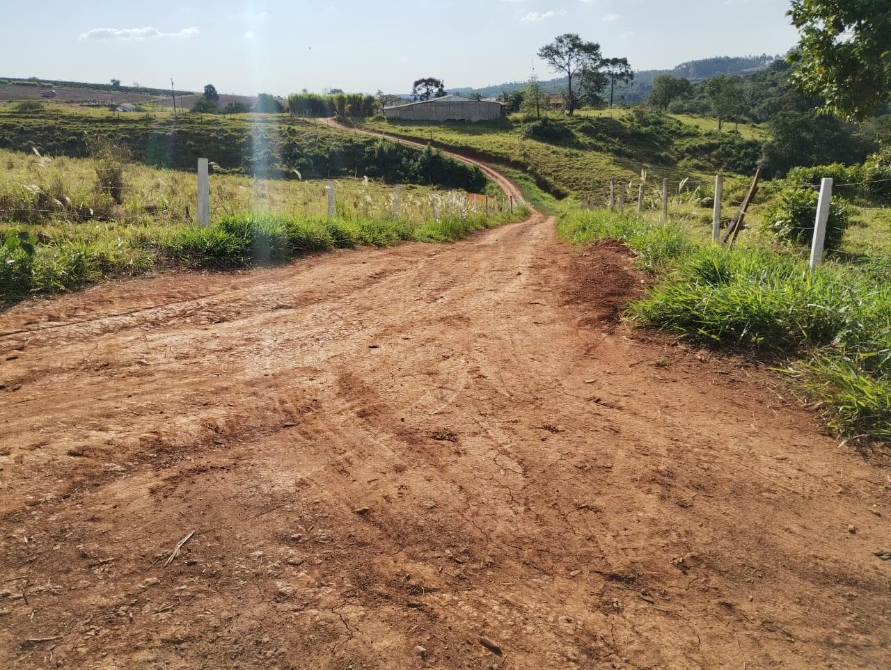 Foto 4 de 24: Area Rural em leilão em São Jerônimo Da Serra - PR — Área rural com área de 35,53 hectares - São Jerônimo da Serra/PR.