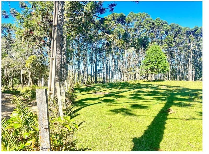 Foto 26 de 35: Area Rural em leilão em São José Dos Pinhais - PR — Sitio com área total de 120.974,16m², localizado Borda do Campo em São José dos Pinhais/PR