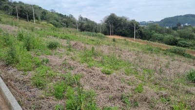 Foto 1 de 5: Terreno em leilão em Saudades - SC — LOTE URBANO Nº 08, DA QUADRA Nº 122, LOCALIZADO EM SAUDADES/SC ÁREA DE 360M²