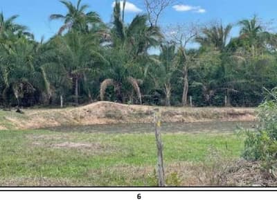 Foto 5 de 16: Area Rural em leilão em Barão De Melgaço - MT — Imóvel rural denominado Fazenda Baia São Benedito (antiga Baia das Pombas- com área de 13.000,00 hectares.