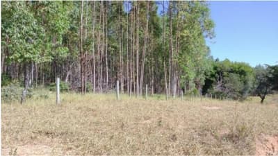 Foto 8 de 9: Area Rural em leilão em Tiros - MG — Tiros/MG - Área Rural com 38.13Ha - Desocupado