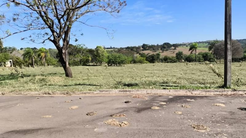 Foto 7 de 8: Terreno em leilão em Pérola - PR — Lote 597m² | Pérola-PR | Parque Residencial Viva - Amplo Terreno com Excelente Topografia - Somente à Vista!