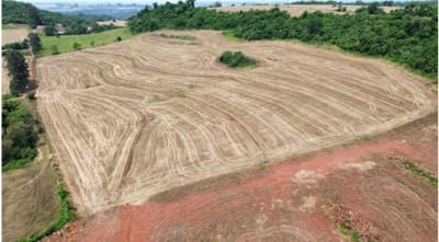 Foto 6 de 10: Area Rural em leilão em Nova Prata Do Iguaçu - PR — IMÓVEL RURAL COM ÁREA DE 121.000 m2- Em NOVA PRATA DO IGUAÇU