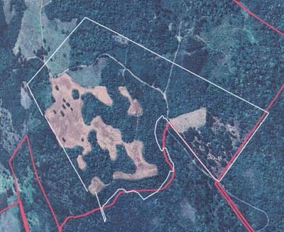 Foto 2 de 5: Area Rural em leilão em Guarapuava - PR, bairro Guairacá — Fazenda Marrecas | 54,23 Hectares | Guairacá | Guarapuava/PR