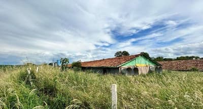 Foto 11 de 40: Area Rural em leilão em Marechal Cândido Rondon - PR — Parte ideal de 55.265,69 m² do Lote Rural 05/A do 19º Perímetro da Fazenda Britânia, situado neste município e comarca de Marechal Candido Rondon/PR