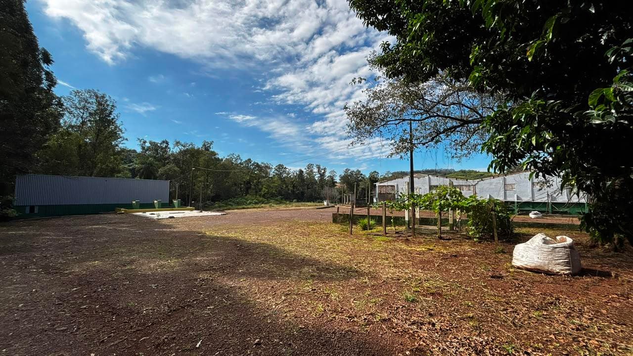 Foto 2 de 17: Area Rural em leilão em Toledo - PR — IMÓVEL CHACARA N°37-A E 37-B COM AREA DE 84.360 m² - TOLEDO/PR