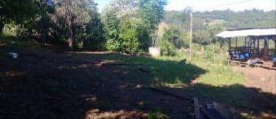 Foto 6 de 11: Terreno em leilão em Pinheirinho Do Vale - RS — Imóvel rural com área total de 10,80 hectares - Pinheirinho do Vale/RS.
