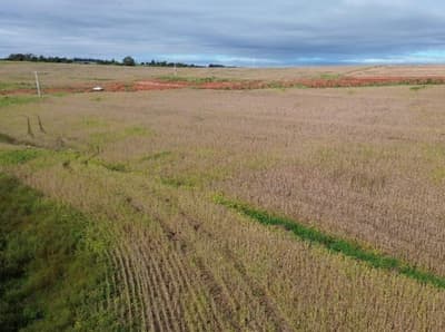 Foto 4 de 5: Area Rural em leilão em Araruna - PR — IMÓVEL RURAL COM ÁREA TOTAL DE 48.400 m2- Em ARARUNA/PR