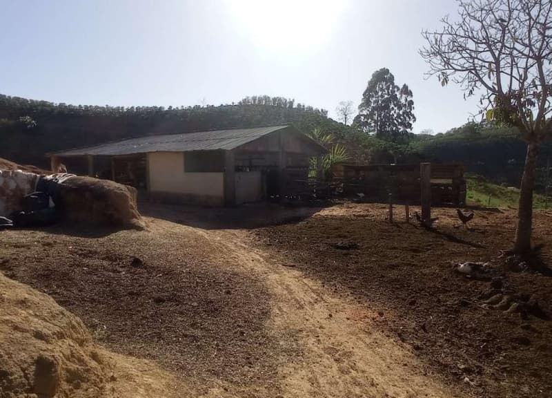 Foto 42 de 49: Area Rural em leilão em Caiana - MG — IMÓVEL RURAL COM ÁREA TOTAL DE 16,99,68 hectares- Em CAIANA/MG
