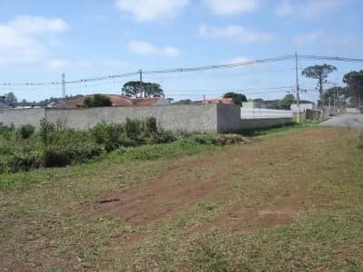 Foto 3 de 3: Terreno em leilão em Balsa Nova - PR — Terreno com benfeitorias - área 18.138,70m² - Balsa Nova/PR