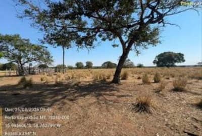 Foto 6 de 9: Area Rural em leilão em Porto Esperidião - MT — IMÓVEL RURAL | A.T 36,323HA | SÍTIO SÃO DOMINGOS | PORTO ESPERIDIÃO/MT