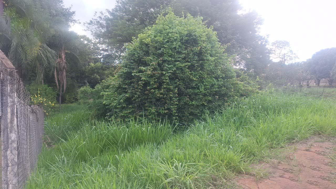 Foto 2 de 2: Terreno em leilão em Icém - SP, bairro Vila Residencial de Icém — Terreno 946m² na Vila Residencial de Icém/SP | Lote Amplo e Plano | Próximo ao Rio Grande e Usina Furnas |