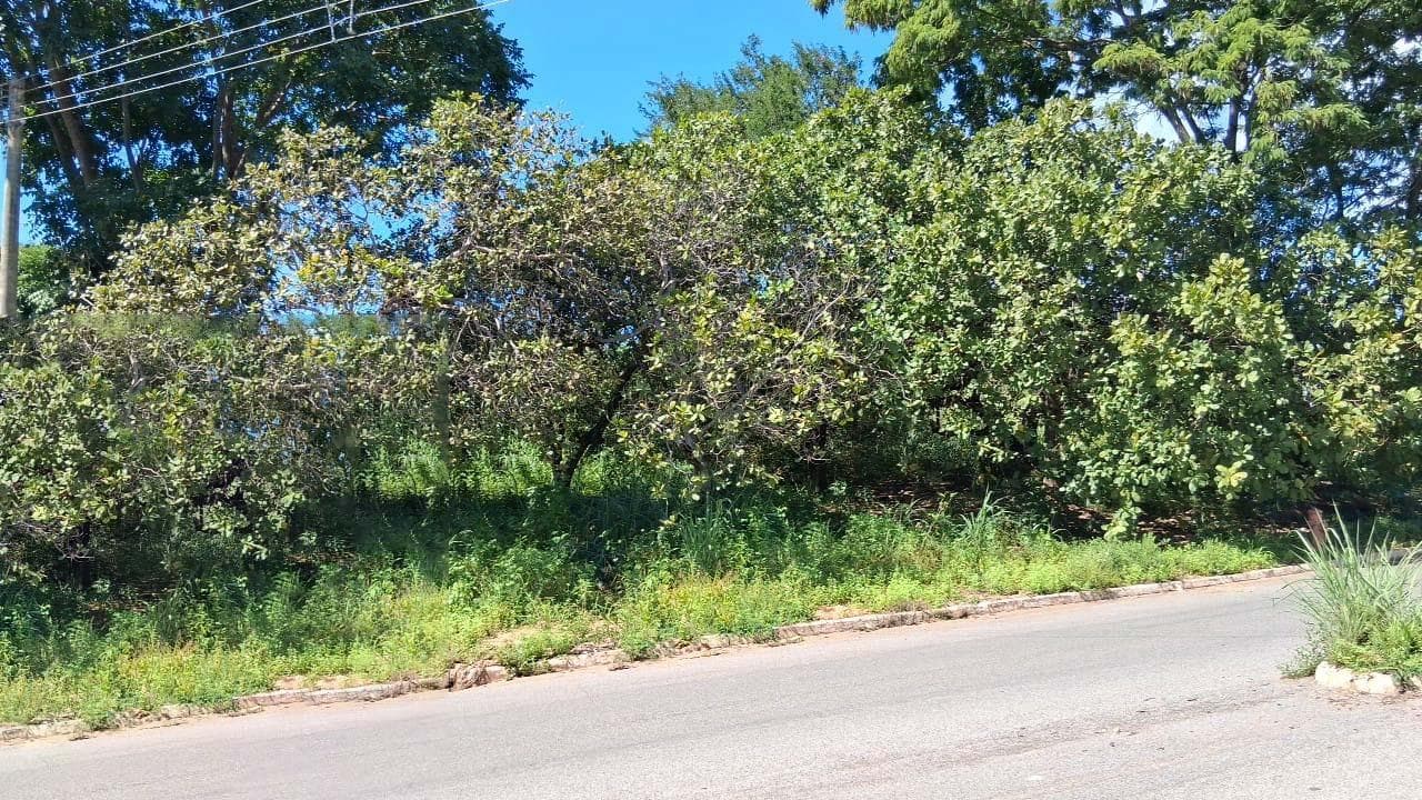 Foto 3 de 7: Terreno em leilão em Minaçu - GO, bairro Vila Residencial de Minaçu — Terreno Urbano 445m² | Vila Residencial de Minaçu - Minaçu/GO | Localização Nobre e Infraestrutura Completa: Ideal para Construção e Investimento!