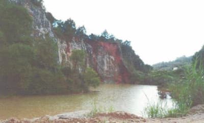 Foto 7 de 8: Area Rural em leilão em Bom Sucesso De Itararé - SP — Imóvel rural, A.T. 7,26 ha, Bairro Bom Sucesso, Sítio Ferraz