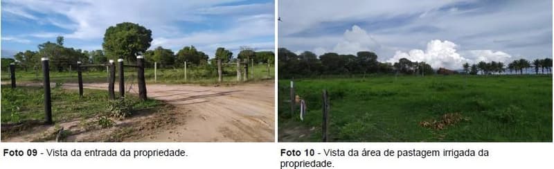 Foto 4 de 10: Area Rural em leilão em Luís Eduardo Magalhães - BA — IMÓVEL RURAL | 25,00 HA - CHÁCARA SÃO JOÃO | LUIS EDUARDO MAGALHÃES/BA