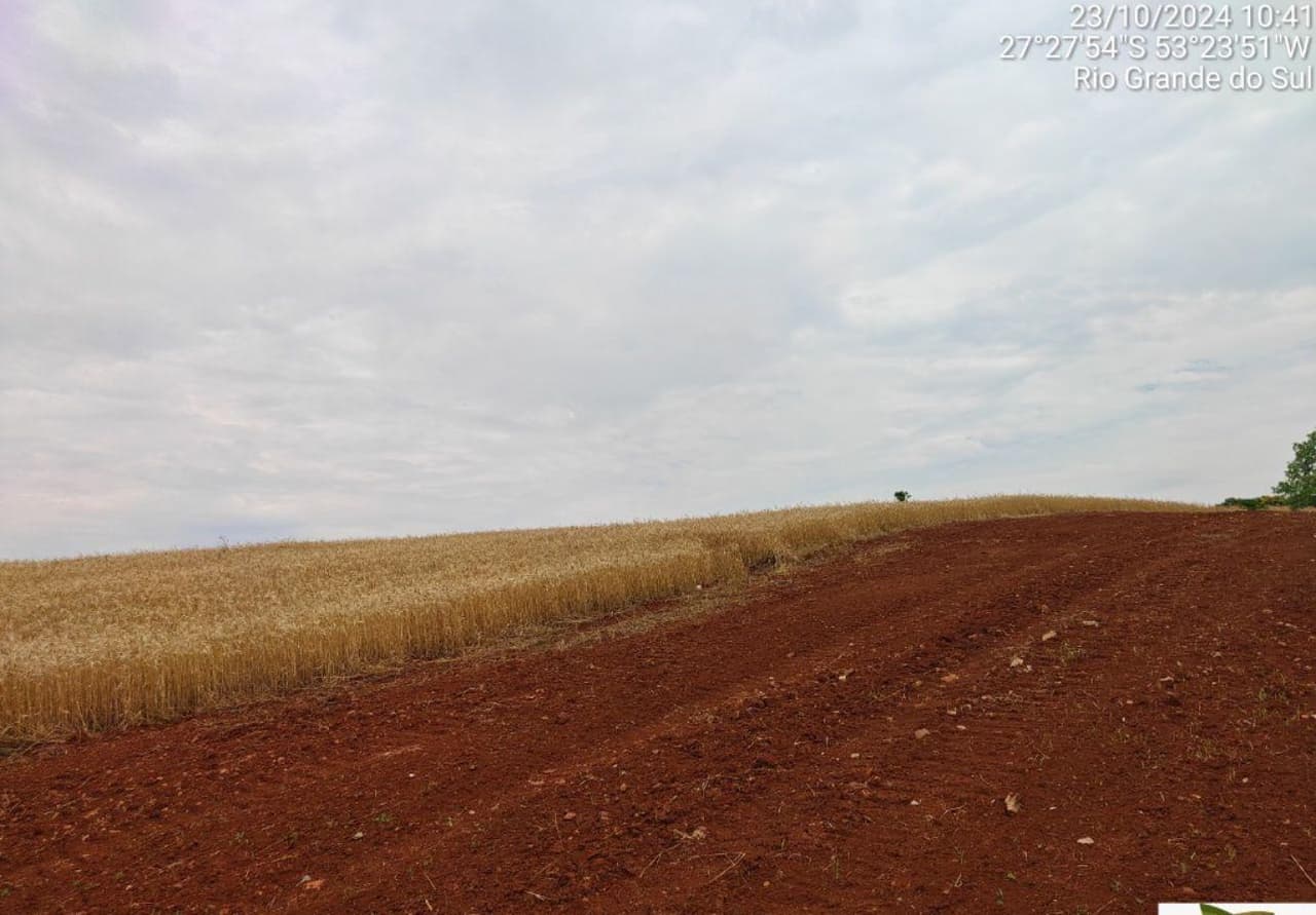 Foto 8 de 9: Area Rural em leilão em Seberi - RS — IMÓVEL RURAL COM ÁREA TOTAL DE 50.000,00M² - SEBERI/RS