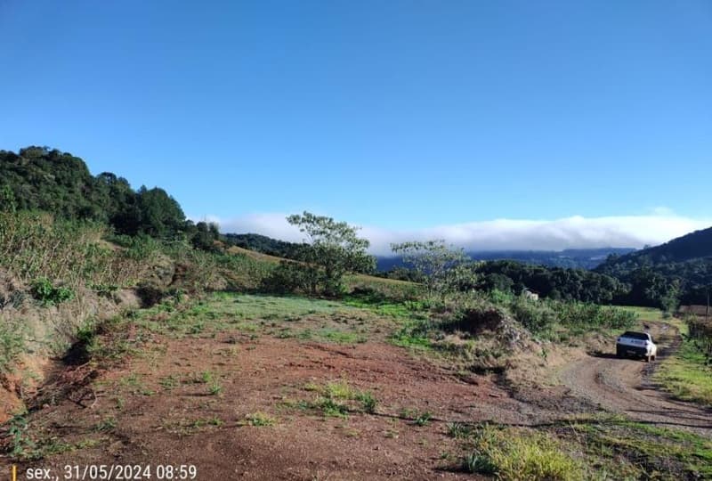 Foto 3 de 6: Area Rural em leilão em São Marcos - RS, bairro Interior — IMÓVEL RURAL COM ÁREA DE 62.250,00 M2 LINHA RIACHUELO EM SÃO MARCOS -RS
