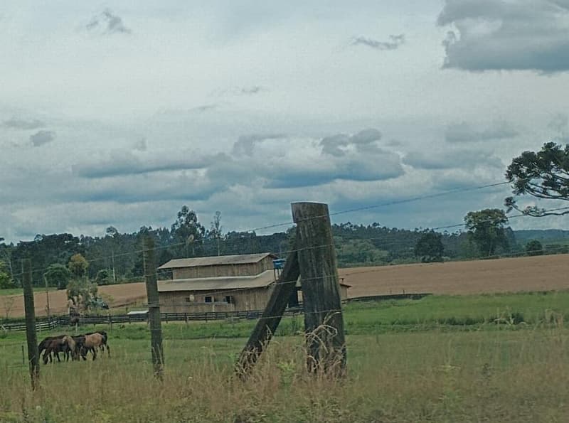Foto 8 de 11: Area Rural em leilão em Bela Vista Do Toldo - SC, bairro Interior — IMÓVEL RURAL COM ÁREA TOTAL DE 235.247,93 M2 EM BELA VISTA DO TOLDO-SC