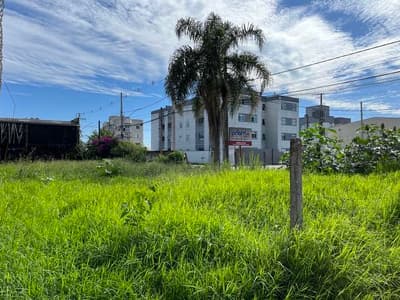 Foto 8 de 13: Terreno em leilão em Pinhais - PR, bairro Vargem Grande — Terreno urbano com 468,75m² - Pinhais/PR