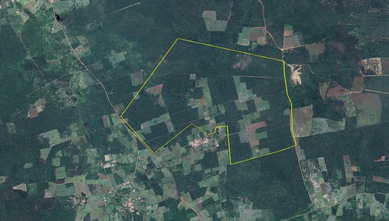 Foto 6 de 6: Area Rural em leilão em Paratinga - BA — Imóvel rural denominado FAZENDA SOBERANA, com área de 427,5786 ha, situado no município de Paratinga-BA