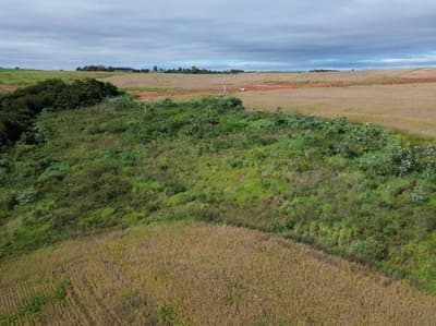 Foto 3 de 5: Area Rural em leilão em Araruna - PR — IMÓVEL RURAL COM ÁREA TOTAL DE 48.400 m2- Em ARARUNA/PR