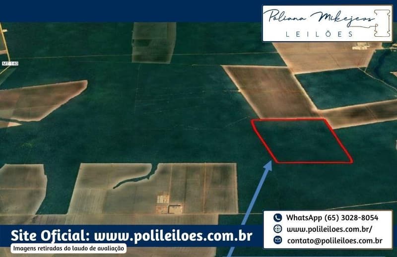 Foto 6 de 6: Area Rural em leilão em Vera - MT — Área Rural, 500ha, Fazenda Bom Retiro II, Gleba Atlântica com a Gleba Capen, no Município de Vera/MT