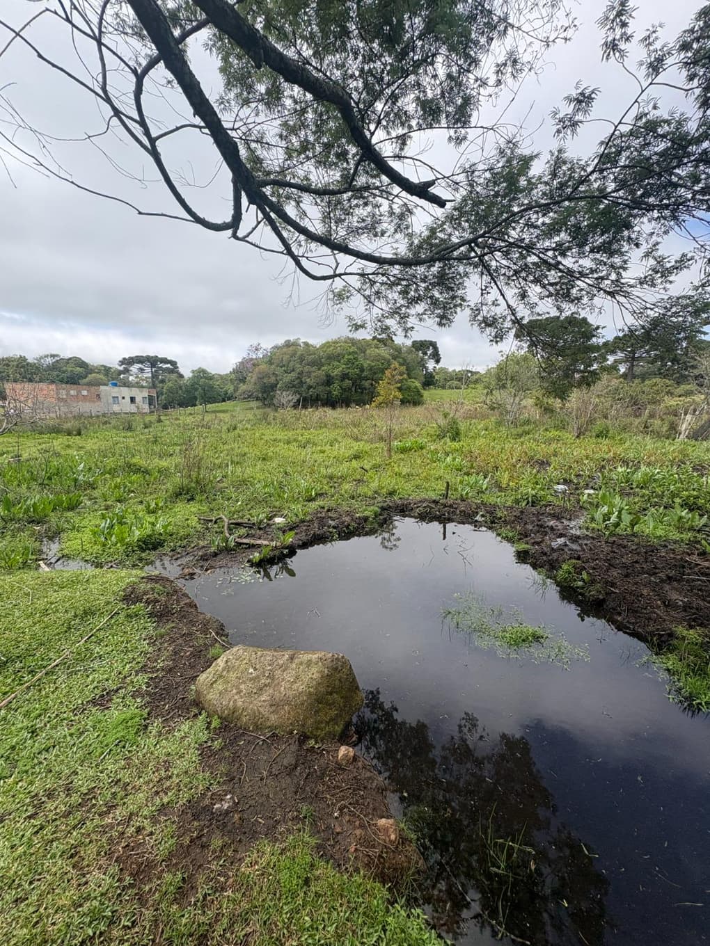 Foto 9 de 9: Terreno em leilão em Guarapuava - PR, bairro Morro Alto — TERRENO RURAL MEDINDO 6.050,00M² COM UM BARRACÃO - GUARAPUAVA-PR