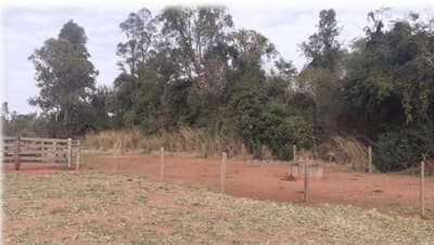 Foto 6 de 18: Terreno em leilão em Nova Esperança - PR — IMÓVEL URBANO - VENDA DE TRÊS MATRÍCULAS EM CONJUNTO- Em NOVA ESPERANÇA/PR