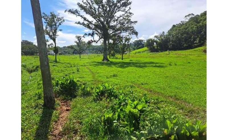 Foto 8 de 64: Terreno em leilão em Blumenau - SC — Um imóvel com área total de 102.114,74m² em Blumenau/SC