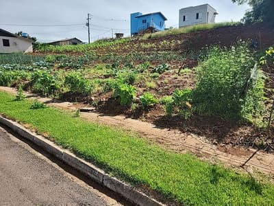 Foto 2 de 7: Terreno em leilão em Vista Gaúcha - RS — LOTE URBANO Nº 7 DA QUADRA 28, COM A ÁREA SUPERFICIAL DE 296,98M² SITUADO NA CIDADE DE VISTA GAÚCHA/RS