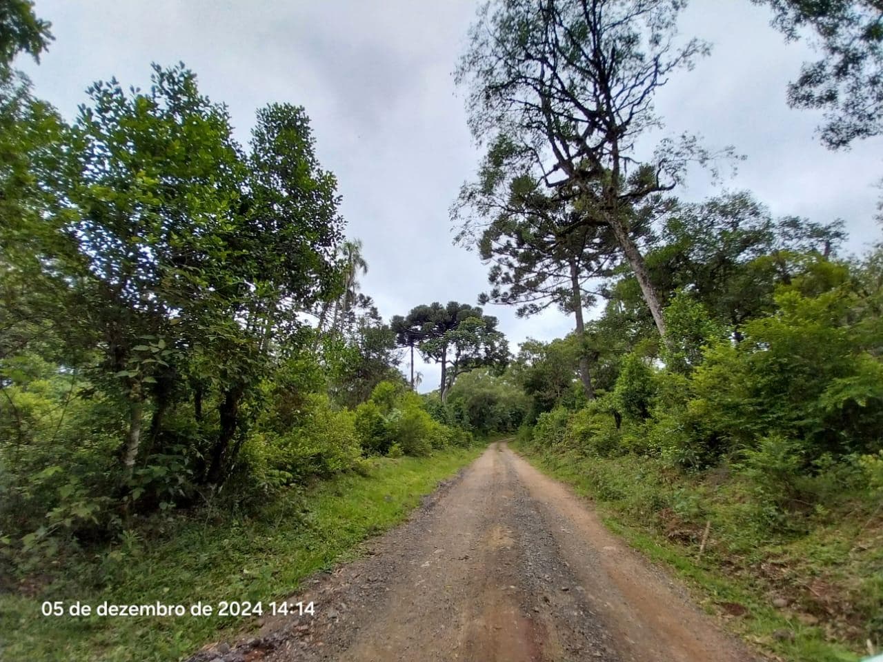 Foto 9 de 17: Terreno em leilão em Lapa - PR — Terreno rural, com área de 36.300,00m², Lapa/PR