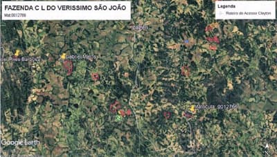 Foto 1 de 5: Area Rural em leilão em Ipameri - GO — IMÓVEL RURAL COM ÁREA DE 16.9400 hectares- Em IPAMERI/GO