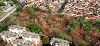 Terreno em leilão em Ribeirão Preto - SP — ÁREA de TERRAS sem construção - 28.527,61m² - Próximo a Avenida Castelo Branco - localizado no Parque Industrial na cidade de Ribeirão Preto/SP