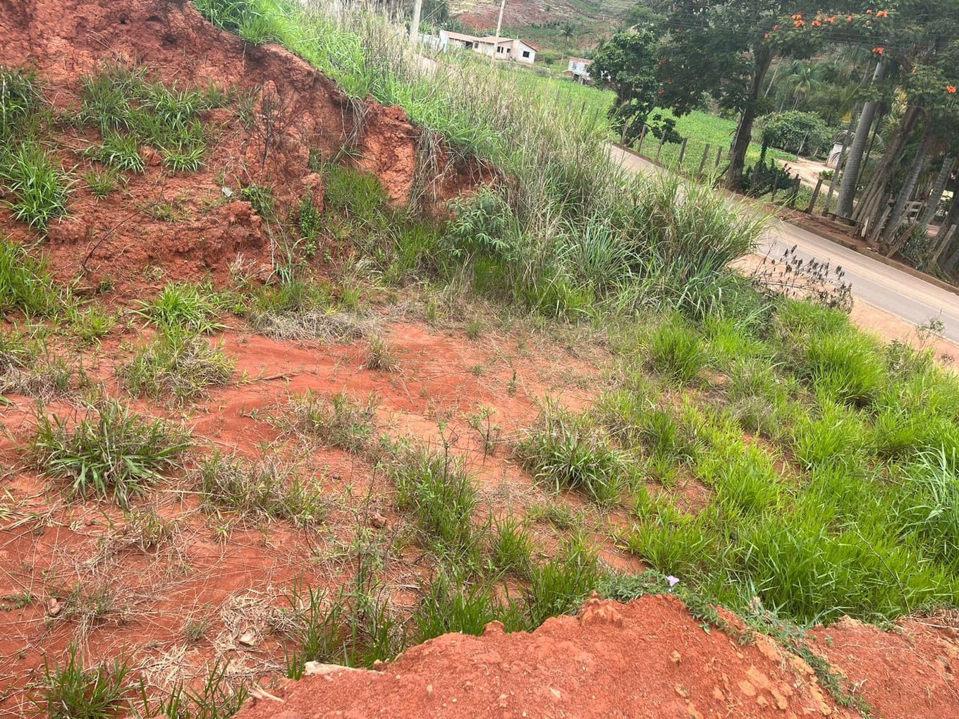 Foto 5 de 6: Terreno em leilão em Canaã - MG, bairro Centro — IMÓVEL URBANO COM ÁREA TOTAL DE 295,12 M2 EM CANAÃ-MG