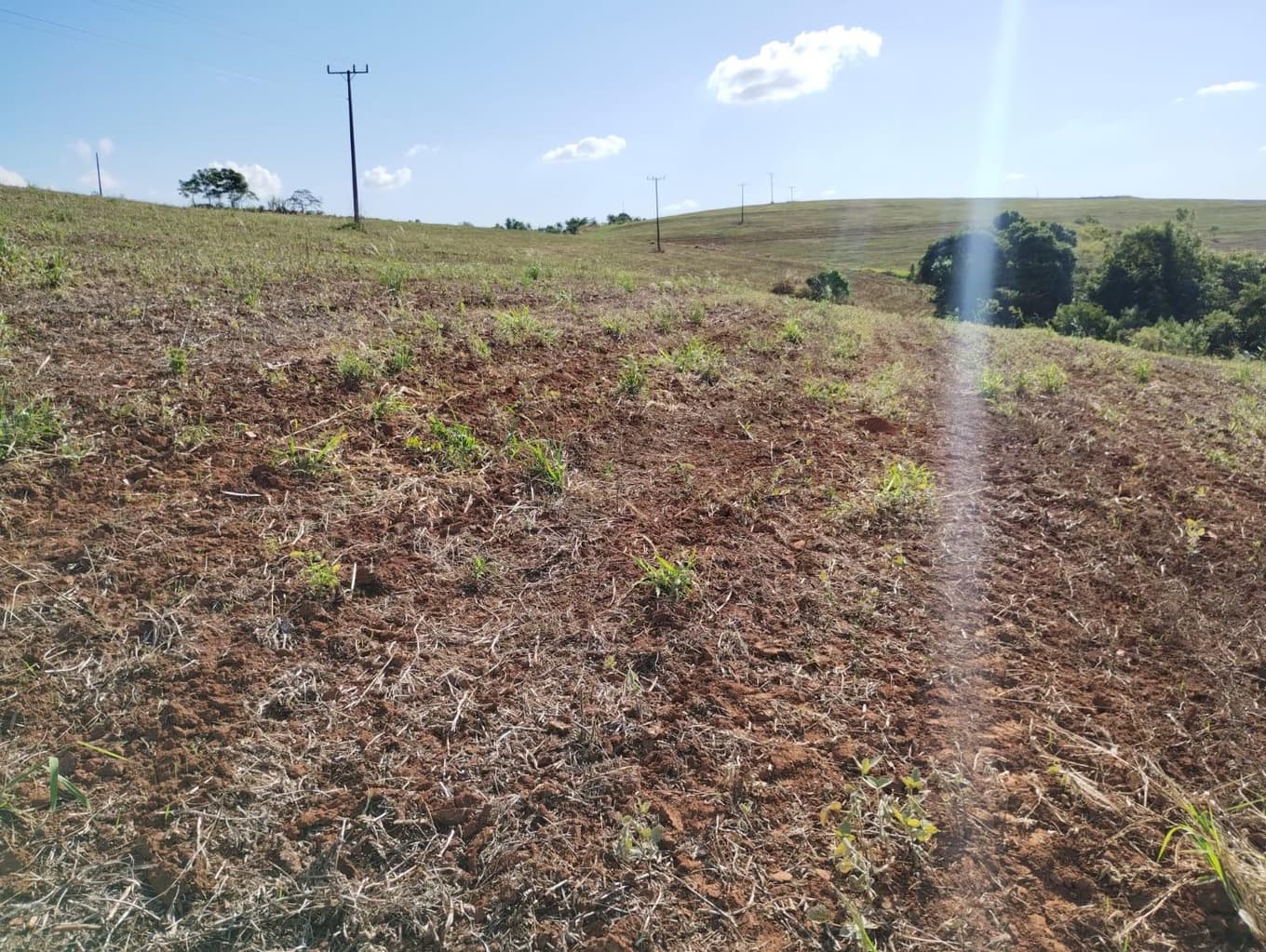 Foto 6 de 24: Area Rural em leilão em São Jerônimo Da Serra - PR — Área rural com área de 35,53 hectares - São Jerônimo da Serra/PR.