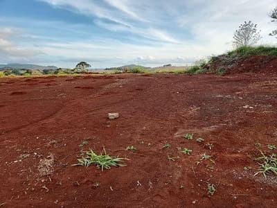 Foto 5 de 7: Terreno em leilão em São Lourenço Do Oeste - SC — LOTE URBANO Nº 10 DA QUADRA 29WN, SITUADO NA RUA "C", LOTEAMENTO MENEGATTI III EM SÃO LOURENÇO DO OESTE/SC - ÁREA DE 408,46M²