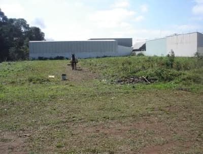 Foto 2 de 3: Terreno em leilão em Balsa Nova - PR — Terreno com benfeitorias - área 18.138,70m² - Balsa Nova/PR