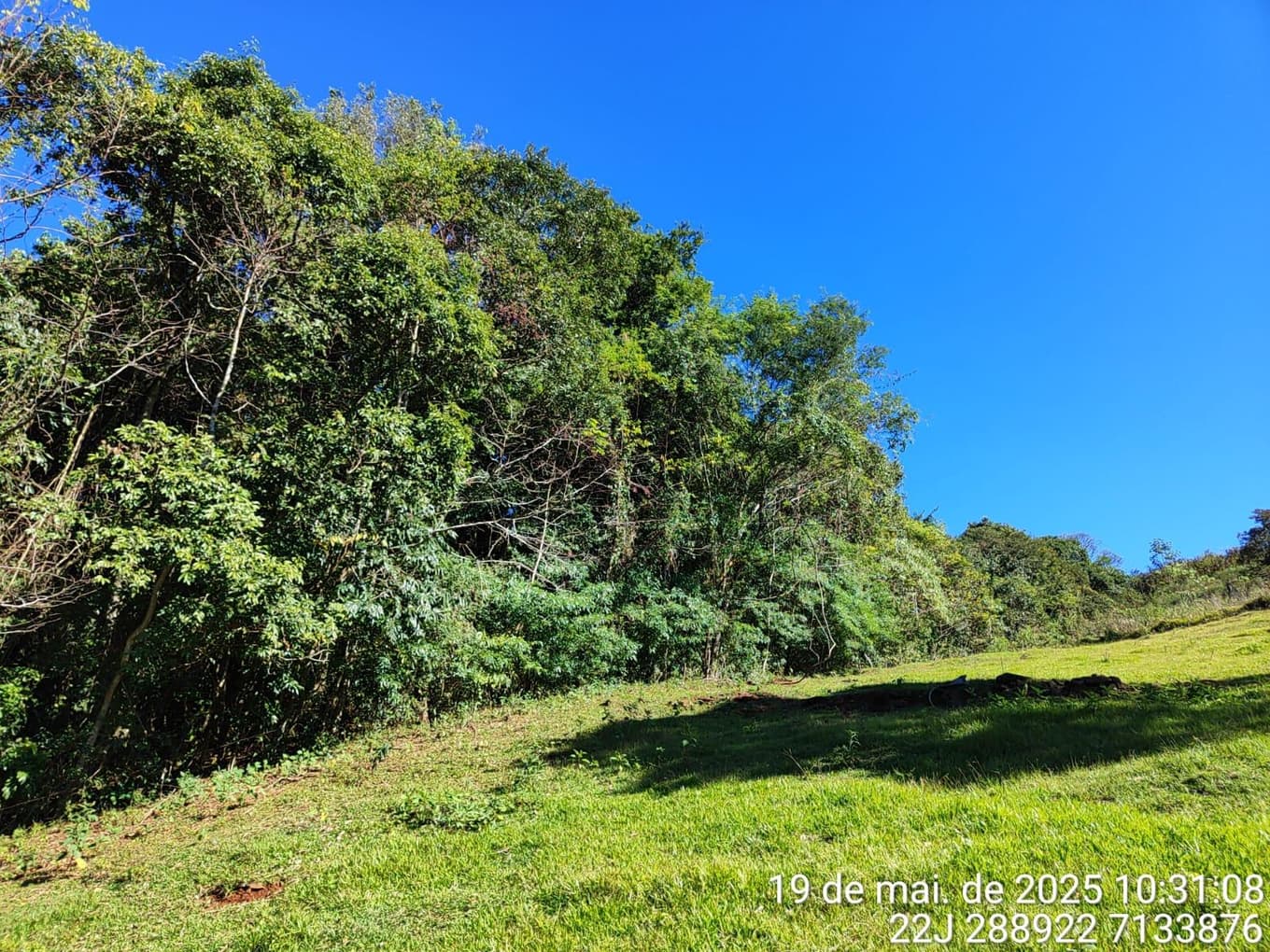 Foto 6 de 9: Area Rural em leilão em Francisco Beltrão - PR — Fração ideal de 7.250m², correspondente a 25% do imóvel: LOTE RURAL, Francisco Beltrão/PR