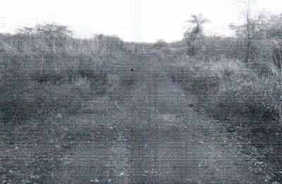 Foto 1 de 2: Area Rural em leilão em Monte Santo Do Tocantins - TO — Fazenda, A.T. 1007,1553 ha