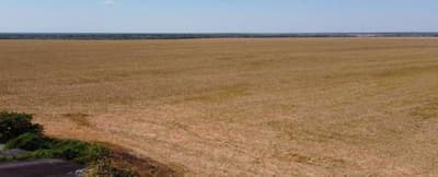 Foto 1 de 9: Area Rural em leilão em Brasnorte - MT — Fazenda Esmeralda 1.020,32 hectares em MT 50% de desconto