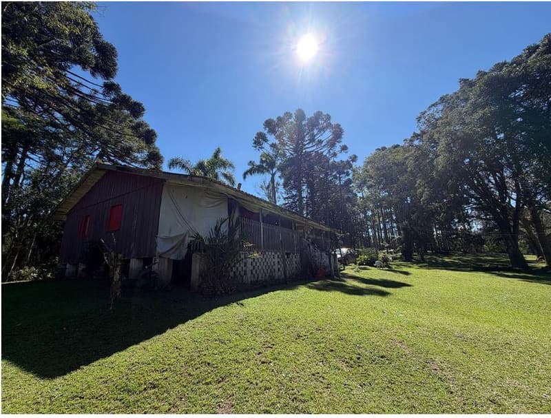 Foto 17 de 35: Area Rural em leilão em São José Dos Pinhais - PR — Sitio com área total de 120.974,16m², localizado Borda do Campo em São José dos Pinhais/PR