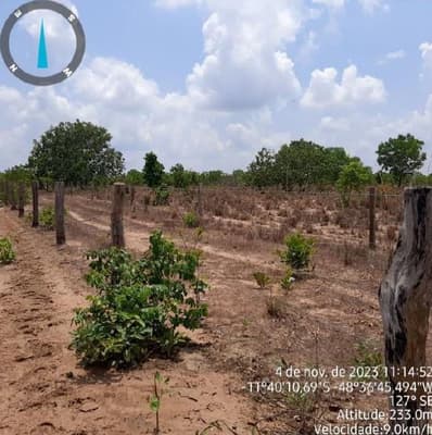 Foto 1 de 17: Area Rural em leilão em Paranã - TO — IMÓVEL RURAL | 1.522,3316 HA | FAZENDA LARGA OU LARGA DO ZÉ JANUÁRIO | PARANÃ/TO.