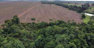 Foto 5 de 5: Area Rural em leilão em Gameleira De Goiás - GO — IMÓVEL RURAL COM ÁREA TOTAL 14,52 hectares- GOIAS/GO