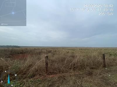 Foto 14 de 28: Area Rural em leilão em Sorriso - MT — IMÓVEL RURAL | 61,6997HA FAZ. SANTA MARIA PARCELA B | EM SORRISO/MT - DESTINAÇÃO PECUÁRIA