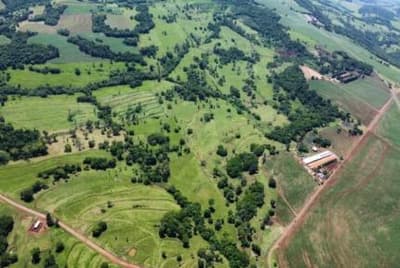 Foto 5 de 13: Area Rural em leilão em São José Das Palmeiras - PR — IMÓVEL RURAL COM ÁREA TOTAL DE 22,40 ha- Em SÃO JOSÉ DAS PALMEIRAS/PR