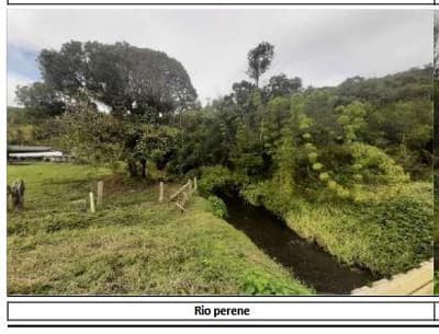 Foto 10 de 13: Area Rural em leilão em Campina Grande Do Sul - PR — Terras rurais, com área de 845,9 hectares, localizada no Município de Campjna Grande do Sul/PR.