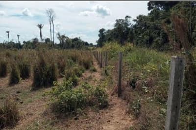 Foto 5 de 6: Area Rural em leilão em Apiacás - MT — IMÓVEL RURAL - 98,614HA - ESTÂNCIA SOUZA III EM APIACÁS/MT - EXPLORAÇÃO AGROPECUÁRIA COM BENFEITORIAS