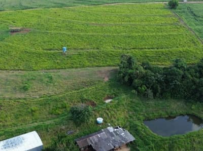 Foto 6 de 6: Area Rural em leilão em Peabiru - PR — IMÓVEL RURAL COM ÁREA TOTAL DE 69.733 m2- Em PEABIRU/PR