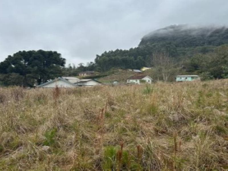 Foto 3 de 12: Terreno em leilão em Gramado - RS, bairro Várzea Grande — Lote, 4082.96 m2, Gramado / RS